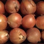 Onions3