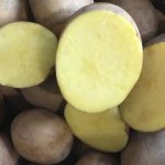 potato-02