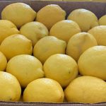 lemon02