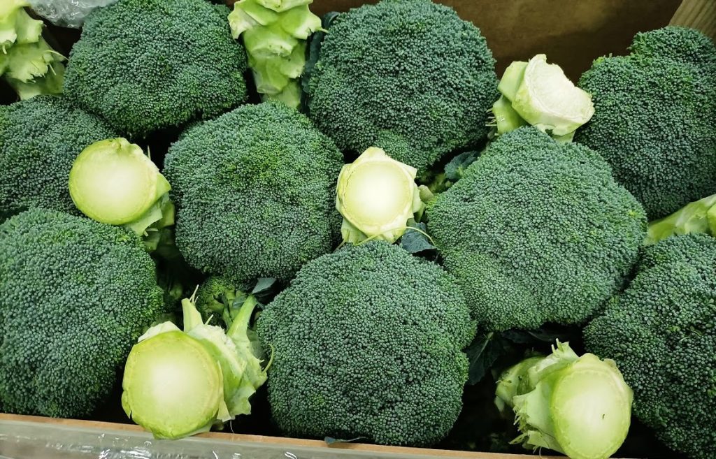 Product features: The Naxos variety is the best hybrid for autumn harvest and produces a large, heavy, compact, fine-grained corymb with an attractive dark green color. Organoleptic characteristics: Excellent for fresh consumption, thanks also to the perfect area of vocation (Apulia), it represents a very top quality product. Period of maturation and harvesting: Maturation occurs 75 days after transplantation. Harvesting takes place already in the first decade of October. Initially with 6/7 pallets available per week, then more than 20. Ends in May. Packaging: The product is palletized in wooden crates or RPC (Reusable Plastic Containers). Possibility to have both EUR and INDU platforms.