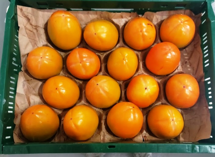 Areas of production and availability Italy used to be the largest kaki exporting country in Europe with the “Tipo” variety, but export has diminished significantly due to the success of the Spanish Rojo Brillante. This variety is mostly grown in the Valencia region and in Andalucía but recently produced also in Italy (with the Demeter certification) and available from the end of September till December.   Packaging The kakis are offered laid in cardboard or wooden boxes in many ranges of calibres.