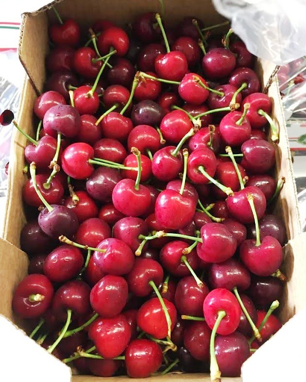 Area of production and availability. In Oegema we commercialize the sweet cherries, produced both in Spain and Italy, which are two of the three major commercial cherry orchards in Europe. In Italy, our best producers are located in the regions of Calabria and Apuliae or in the North, where the colder temperature helps the production of bloom and fruit. Cherries have a short growing season and can grow in most temperate latitudes. Cherries blossom in April (in the Northern Hemisphere) and the peak season for the cherry harvest can go from Mai to mid-July. Packaging Our cherries are mostly commercialized in little punnets or carry bags but available also loose in little cardboard boxes.