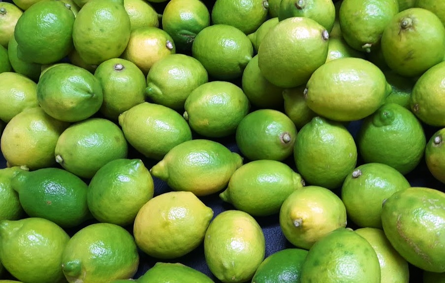 Product features Due to the changing climate conditions during the seasons, each tree can give 4 different varieties of fruits, with different dimension,  peel colour and amount of essential oils in it, quantity of juice in the pulp and taste. Varieties and availability The “Primofiore” grows from October to January, it has an elliptical shape, skin and flesh which varies from light green to lemon-yellow, and lemon-yellow juice The “winter lemon”, harvested from January to April is completely yellow The “Bianchetto”, means “white” and takes its names from the light yellow colour of the peel and the whitish colour of the pulp; it grows from April to June The “Verdello” or “summer lemon” has a complete green peel (from that its name) from July to September. Areas of production The image of the classic yellow lemon damages the consumption of the green variety, typical of the Mediterranean Italian and Spanish productions and push, even in the summer season, the sell and importation of yellow lemons from further foreign countries. Especially in Italy we have many typical and native varieties we commercialize such as the IGPs “Femminello Siracusano” and “Limone Interdonato”.   Packaging Lemon can be packed loose or laid in wooden or cardboard boxes or even in RPC (Reusable Plastic Containers)