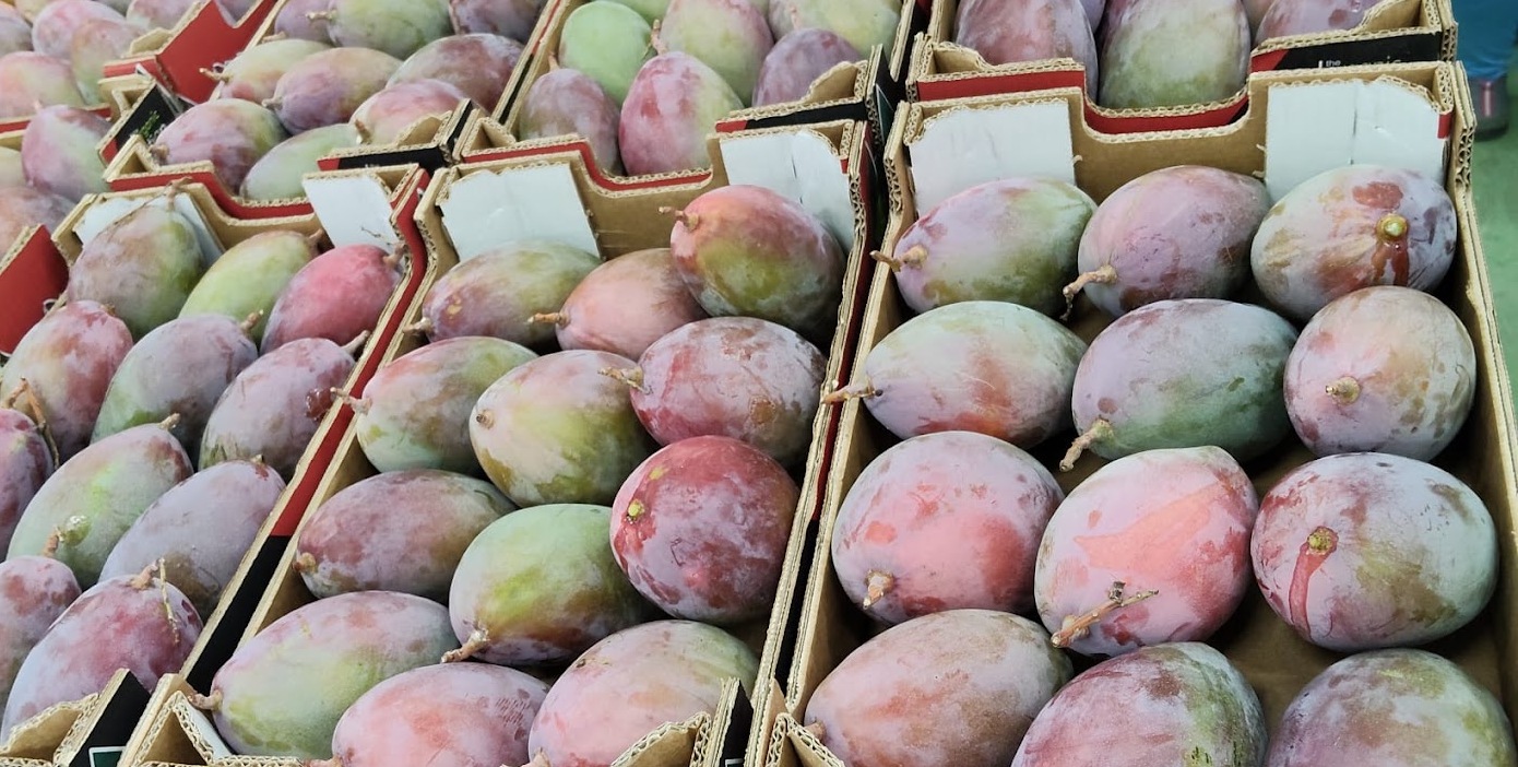 Mango - immagine 2