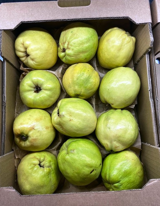 Product features The taste is bitter with just a slight sweet savour, therefore it is often served together with added sugar such in the typical Spanish dessert quince bread (“Dulce de membrillo”) or as in compote (“Cotognata” in Italy). The variety Wranja, with its stronger taste, is our choice for the sale.   Production area and harvesting The production of the fruit takes place especially in the south of Spain in the region Andalucía. After the harvesting, that begins around the second week of September, the quinces are deliverable until the end of December. The fine hair on the peel is removed before they are packed up into boxes.   Packaging We offer the quinces loose or in single layer in cardboard boxes.