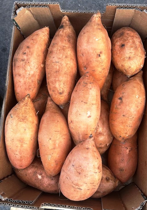 Production area and harvesting We receive this product from farms in South Spain, in Andalucía, but also from many regions in Italy. The season begins in September and lasts until March/April.   Packaging We offer the sweet potatoes, ranged for different calibres, loose in cardboard boxes.