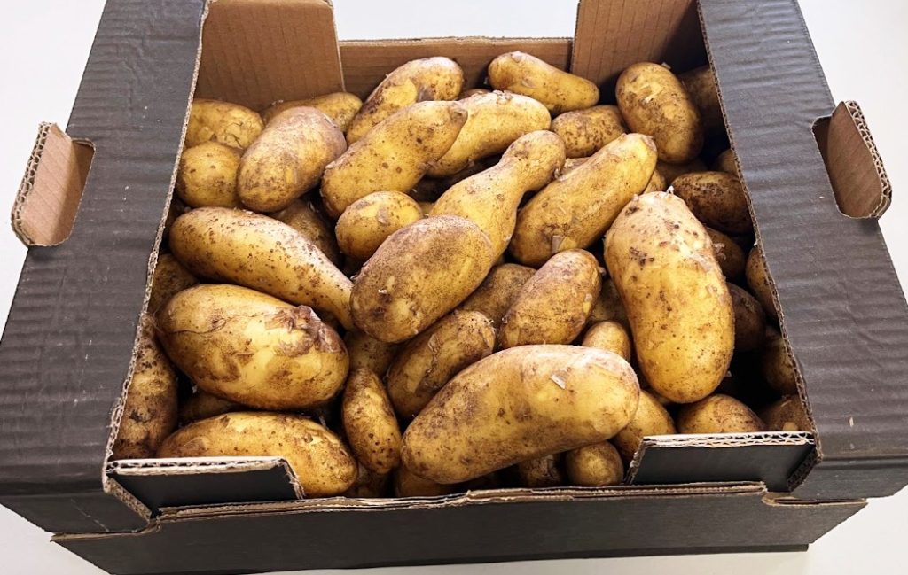 Features of the product and harvesting The harvesting of the ripe tubers can be carried out both by hand and with machines. The varieties of potatoes are many and they can differ in shape, skin and pulp colour, consistence, taste and even culinary purposes due to the different humidity content which affects the resistance to cooking.   Varieties, area of production and availability The varieties we commercialize the most as new potatoes have yellow pulp and a long-oval shape and are available from the second half of March till June. The Arinda und Nicola varieties are produced in the area of Syracuse in Sicily, the Siglinde comes from the coast of the Jonio sea and the Salento region in Apulia and the Spunta variety grows in the typical red clay of Ragusa in Sicily. Many more are the varieties available as new and second-crop potatoes (Liseta, Natascha, Agria, Almonda, Fontane, Arizona), available all year long until the new early productions. Packaging: Potatoes can be delivered in wooden boxes, big bag of 1.000 Kg and in RPC (Reusable Plastic Containers).