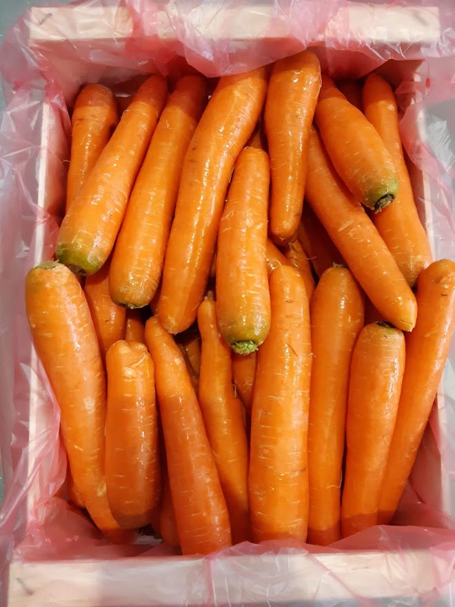 Carrot - immagine 2