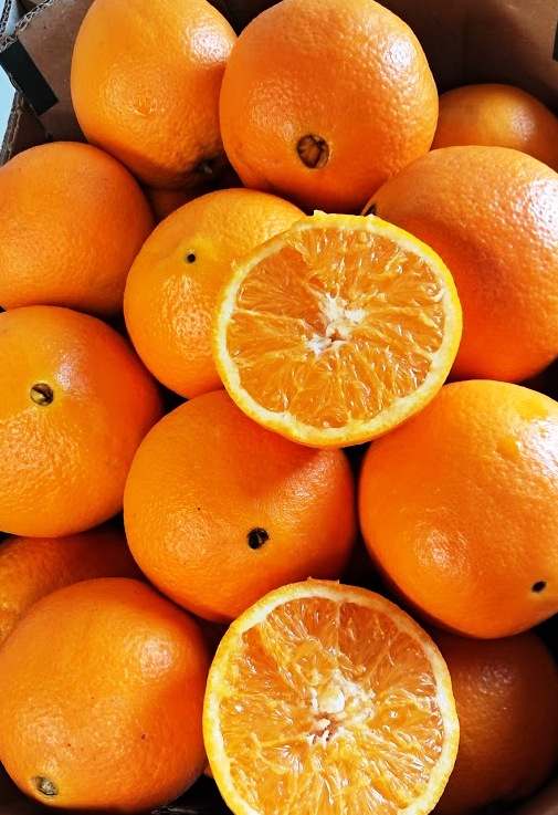 Orange - immagine 6