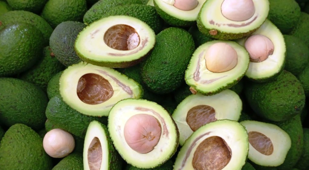 Product features and varieties The variety Hass (usually smaller and oval shaped with a brown shell) is worldwide on high demand because of its good taste. Nevertheless, it is often cultivated together with the variety Bacon (bigger, early and with green shell) which is necessary for a better pollination. The Bacon avocado trees are as well perfect as a windshield because of a better stability. Another variety we offer is the “Fuerte” one, which means “strong” in Spanish. Actually, it endures even strong winters, it builds larger and elongated fruits than Hass and has a thin plain shell, easy to peel. Production area and availability Nowadays the avocado is also cultivated in South-Spain, in Andalucía, on the tropical coast near the city of Málaga. Nevertheless, we also obtain avocados from oversees from Peru, Mexico and the Dominican Republic especially during no harvesting in Spain between April and October, which together with the Spanish production creates an all year long availability of the fruit. In Málaga the harvest of the varieties Bacon and Fuerte begins in October whereas Hass starts in November. The Spanish season ends in April. Packaging Avocados are offered laid in cardboard boxes.