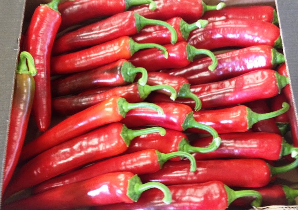 Pepper - immagine 2