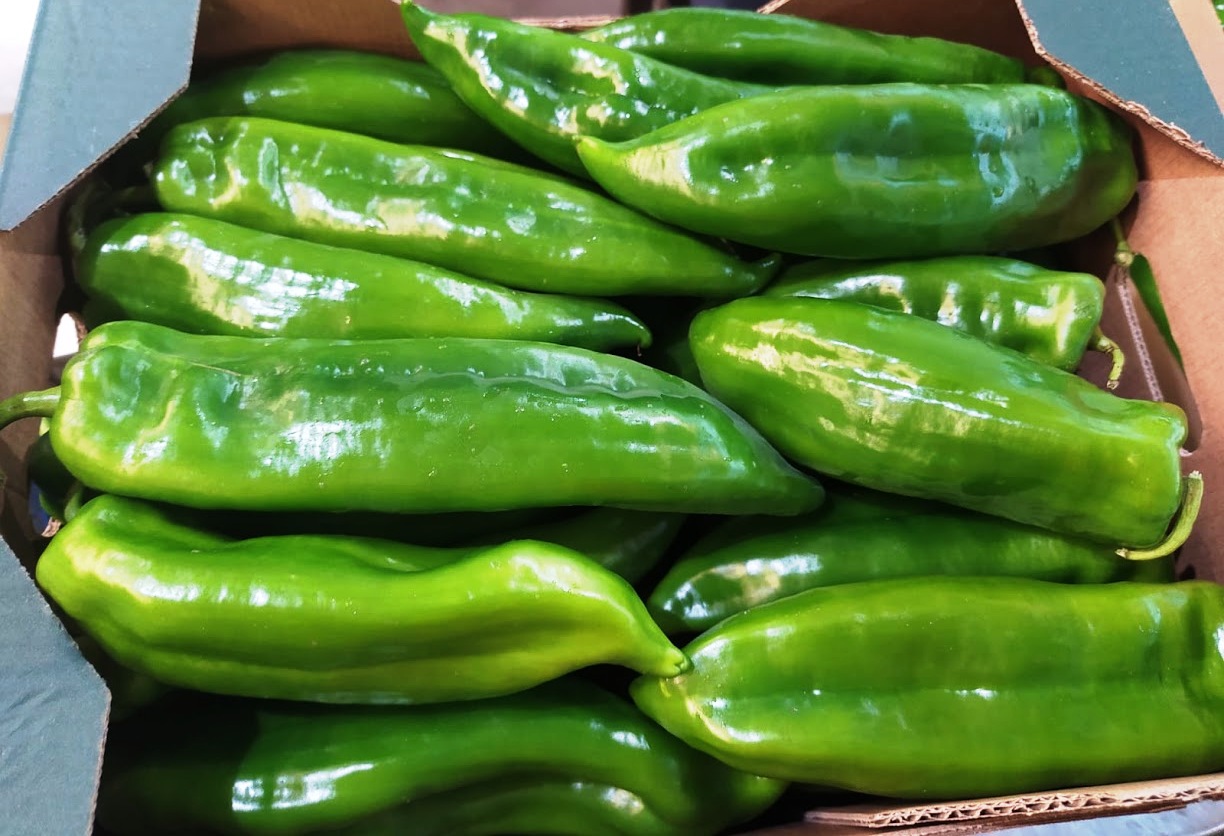 Pepper - immagine 3
