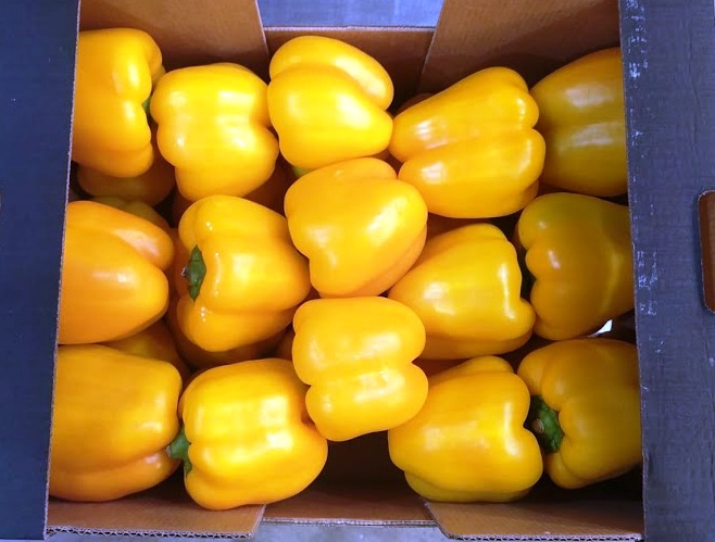 Pepper - immagine 5