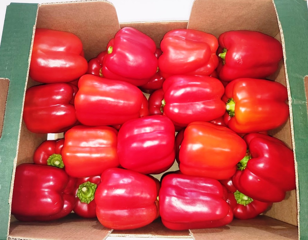 Pepper - immagine 6