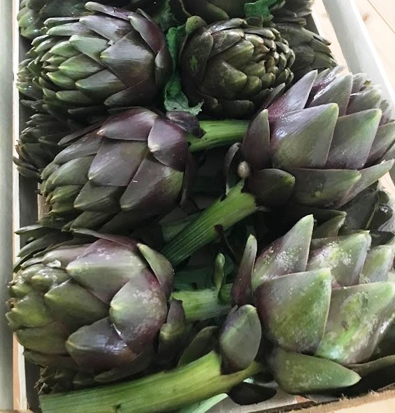Varieties, areas of production and availability In Sicily and Apulia we find our best artichoke producers who, with the different varieties available (also with Demeter certification), guarantee the harvest almost all year round. The varieties we mostly produce are: Thema: artichoke with external bracts of an intense violet colour with light green and straw yellow nuances internally, elongated and ending with a short thorn; fleshy and tender; delicate and not very bitter taste. Violetto di Sicilia: variety of hybrid artichoke from medium early seed, suitable for the fresh market and export. It forms slightly elongated flower heads forming a tight and closed glass, of an intense violet colour. Romanesco: spherical, very compact and slightly flattened; the colour ranges from green to violet and the external bracts have shades of violet. Absence of thorns. Opal: with an intense taste, it has a fleshy consistency, an oval shape and a green colour with violet nuances. Packaging Delivery available in cardboard or wooden boxes and in Reusable Plastic Containers (RPC).