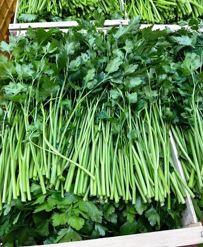 Availability Available mostly in the cold season, from December to April, the aromatic herbs that we usually commercialize are: Dill, Parsley (curly or flat), Basil, Mint, Thyme, Oregano, Marjoram, Salvia, Rosemary and Coriander Area of production and packaging Our best producers are all located in Puglia and are available in bunch or loose, in cardboard boxes.
