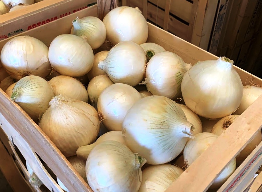 Onions - immagine 4