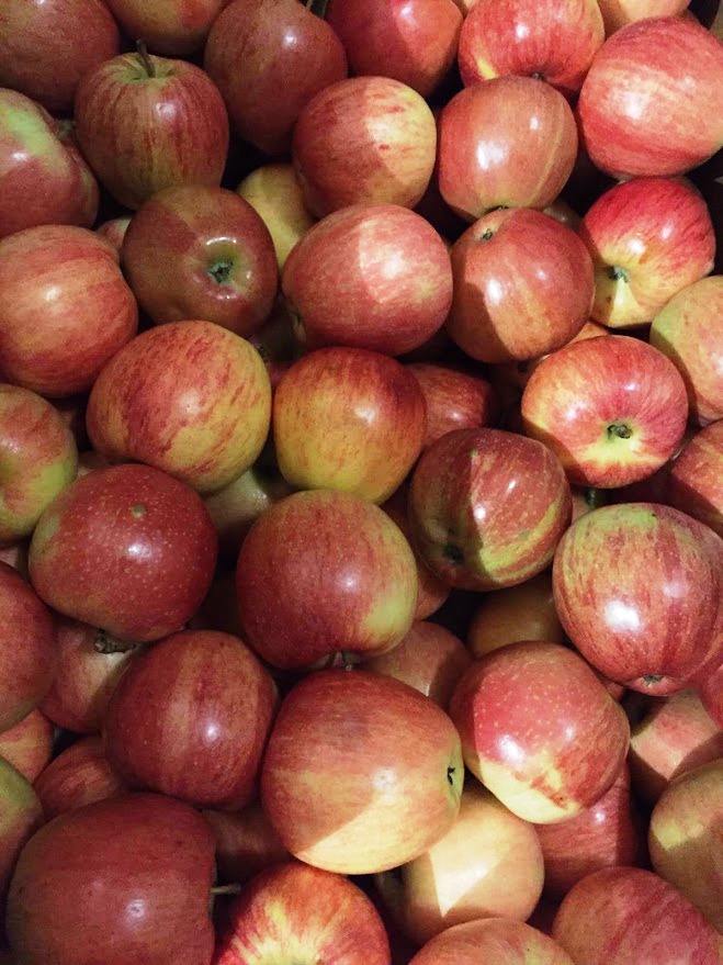 Varieties and availability In addition to the most common and requested  varieties for fresh home consumption (available from both organic and biodynamic productions), our leading products are early apples (also Demeter), from northern Italy and the uncommon “quince”, from Spain (too tart and astringent to eat fresh but very sweet after cooking). Natural ripeness occurs from late August to mid-October, whereas the early apples start to be available even from the beginning of July. Apple is a fruit that can be available all year round thanks to a lengthy storage ability. Packaging Wooden boxes or RPC (Reusable Plastic Containers)