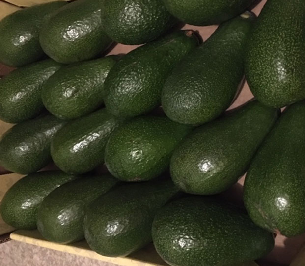 Avocados