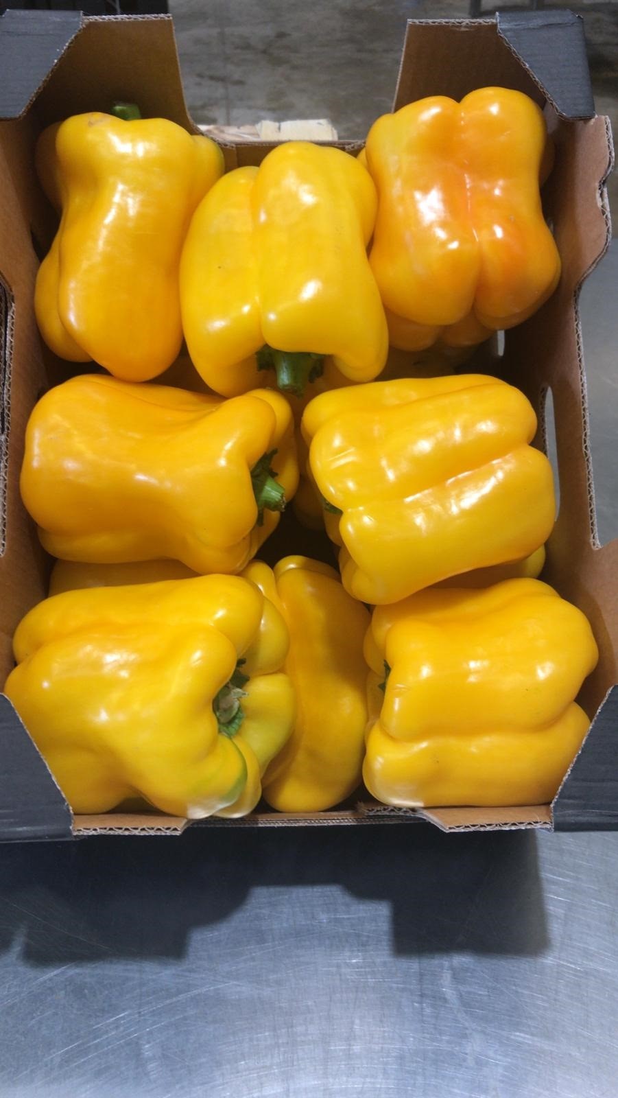 Pepper - immagine 11