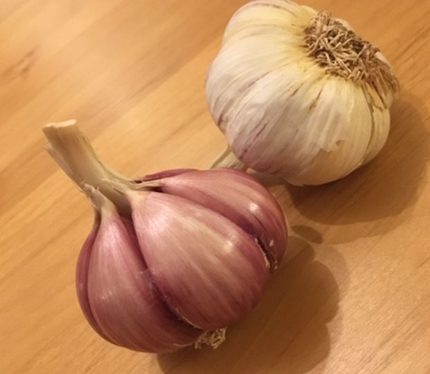 Onions - immagine 6