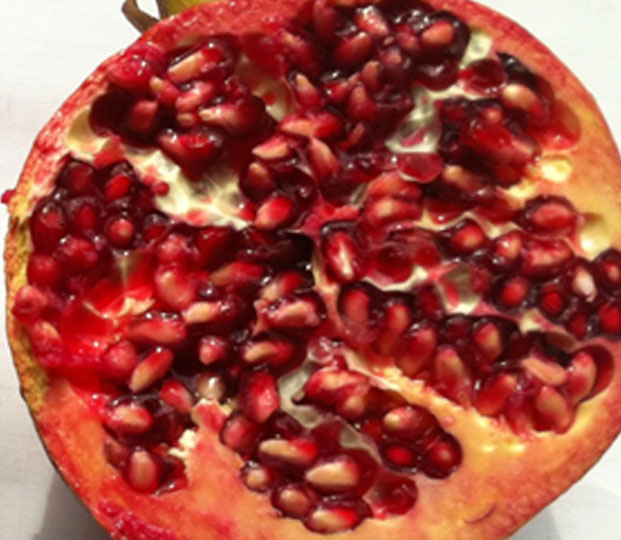 Pomegranate - immagine 2