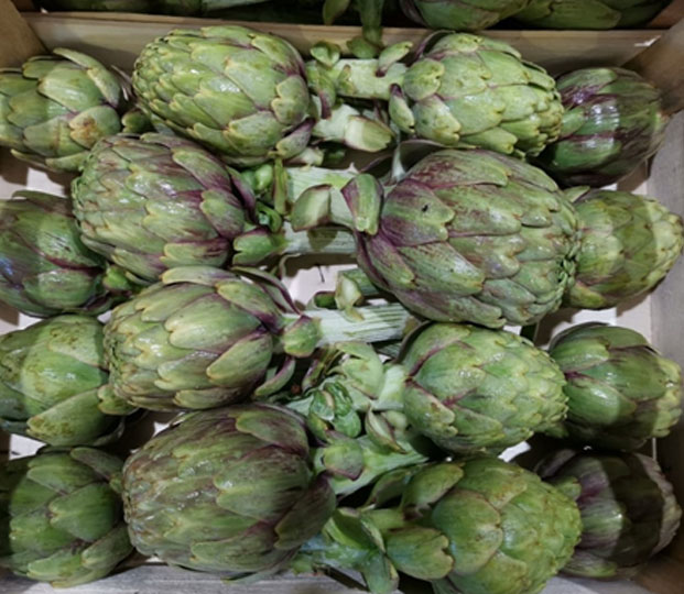 Artichoke - immagine 2