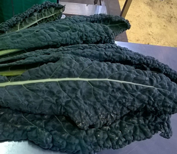 Black cabbage - immagine 3