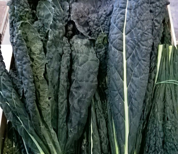 Black cabbage - immagine 4