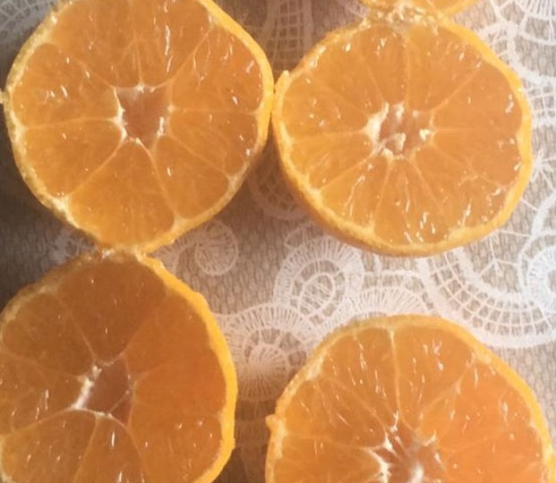 Clementin - immagine 2