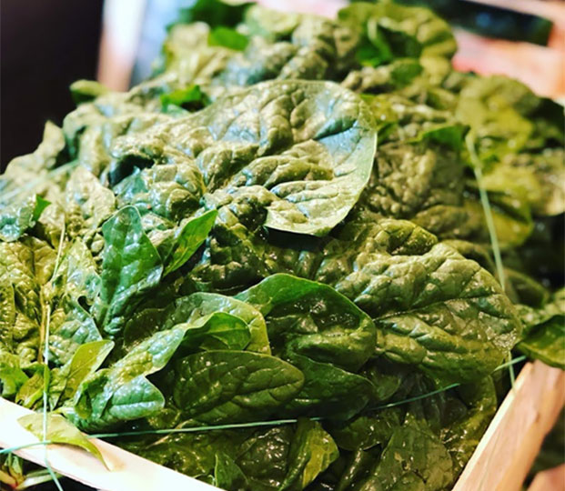 Product features and availability: The varieties used, with different harvest periods, are the Mandolins, Carmel and Bongo which guarantee the presence on the market from September to June.   Processing: The collection and sorting, on site and in the warehouse, are carried out manually. Then follow the washing and packing steps. The shelf Life is 7 days. Fields and warehouse are located in the Abruzzi region.   Packaging: 500g bags or loose, in wooden crates or pressurised cardboard and RPC (Reusable Plastic Containers). EUR or INDU pallets.