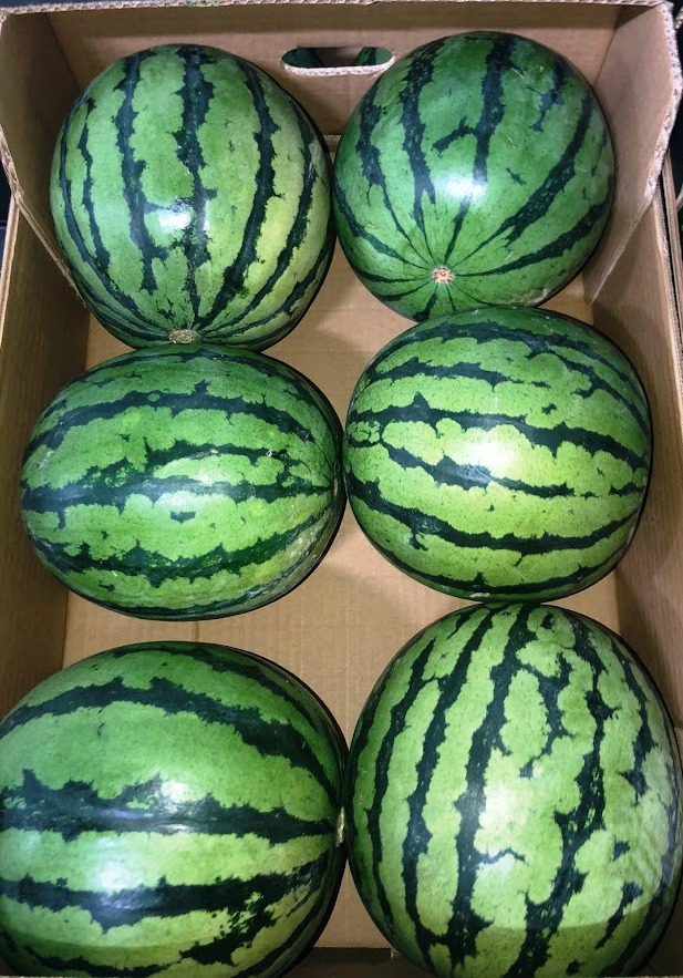 Melons - immagine 8