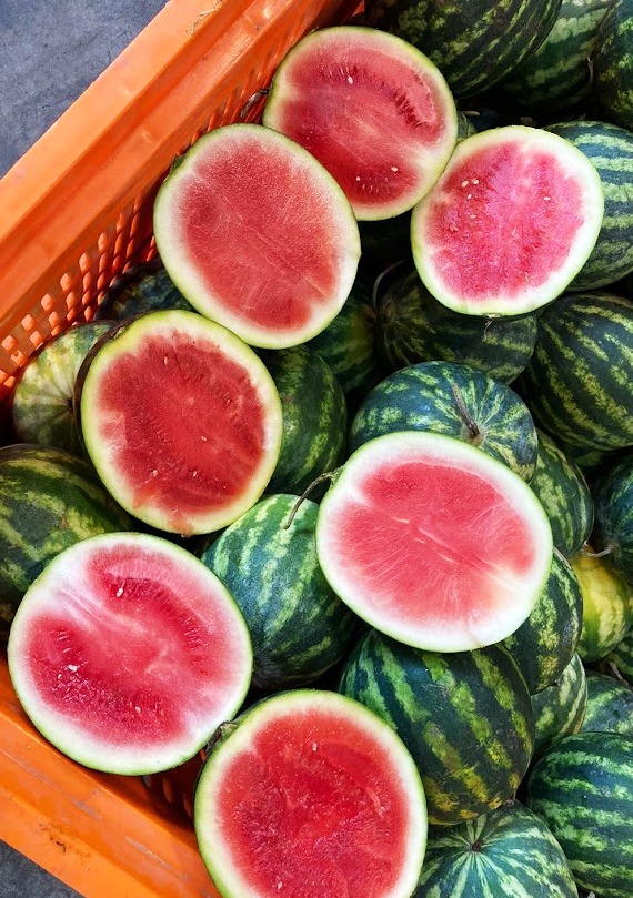 Melons - immagine 6
