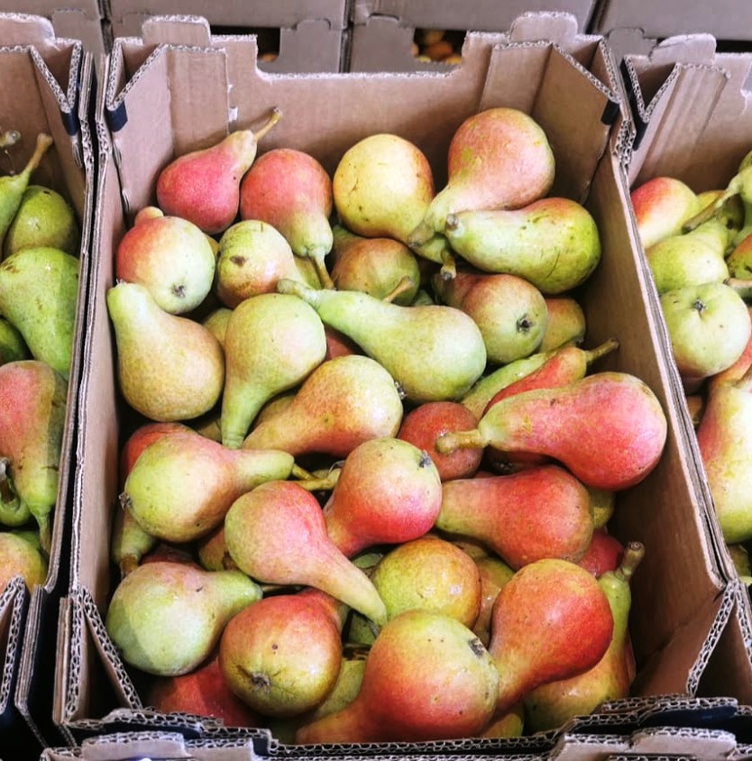 Pear - immagine 5