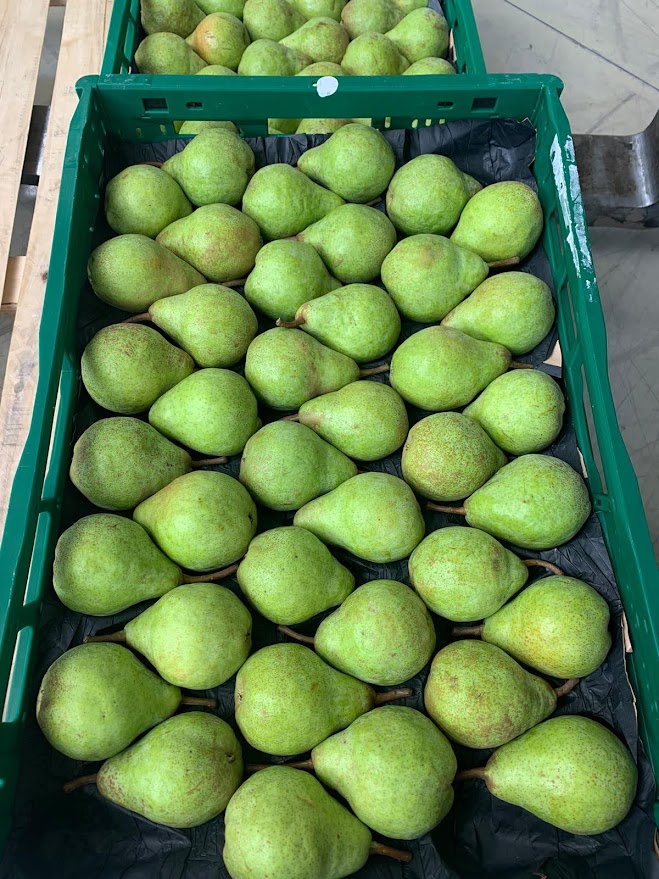 Pear - immagine 2