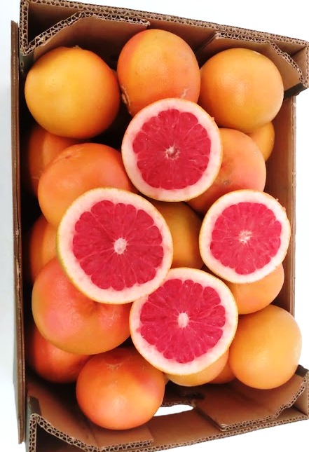 Grapefruit