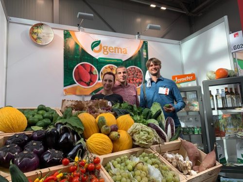 244448511 3066372660354159 2966853862706625880 n