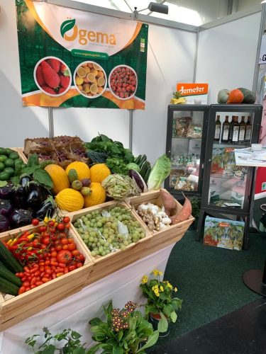 244492375 3066372557020836 5017907377079902108 n-1