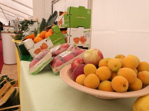 31957012 2055460214778747 6220696581302124544 n