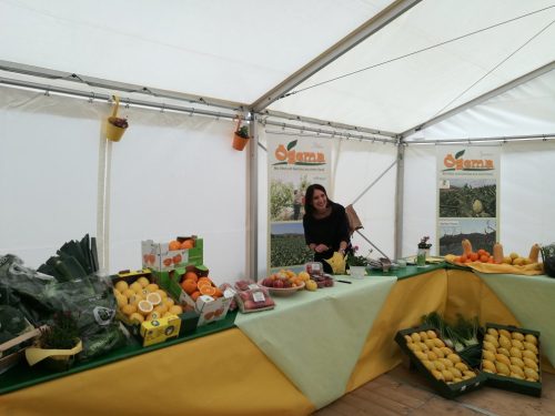 32072714 2055460054778763 930971789616480256 n