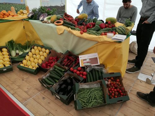 32072922 2055460941445341 5339599386445873152 n