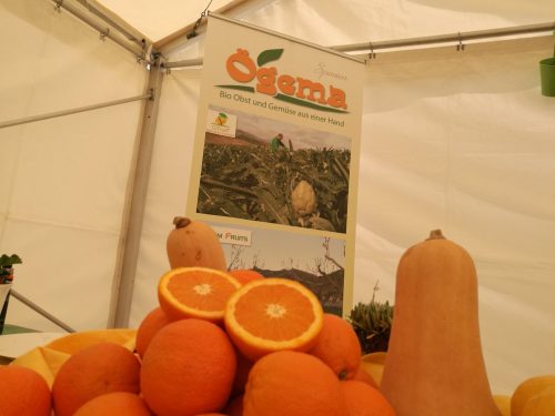 32077994 2055459861445449 8688664147694452736 n