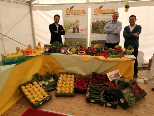 32084208 2055460828112019 7810947942503677952 n