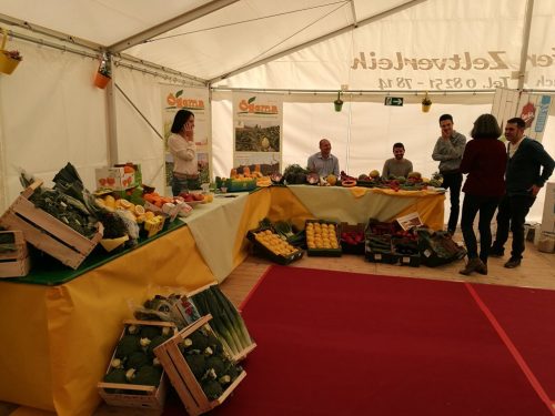 32089456 2055460641445371 1679033914372390912 n