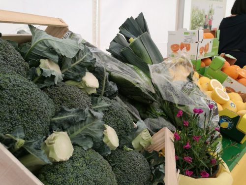 32104680 2055460924778676 4403754204812804096 n