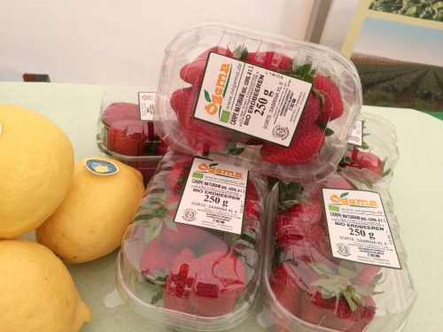 32145520 2055460384778730 1463916663421272064 n