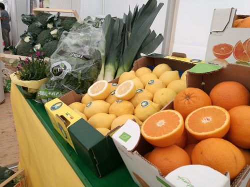 Hausmesse Oekoring 2018