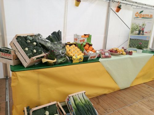 32170112 2055460674778701 4143542743601250304 n