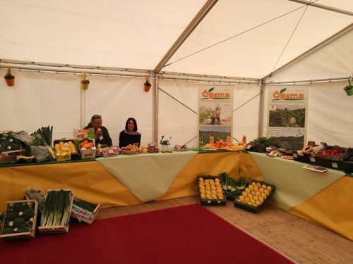 32205777 2055460338112068 1358031653556977664 n