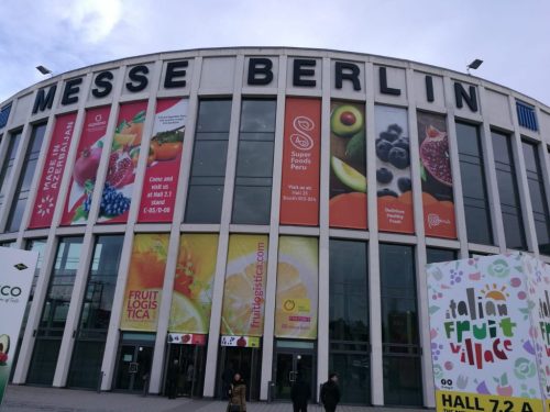 WhatsApp-Image-2019-02-07-at-09.55.291-1024x768